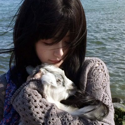 森林里的熊先生